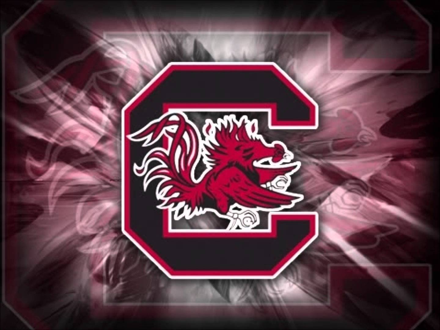 South Carolina Gamecocks Wallpapers