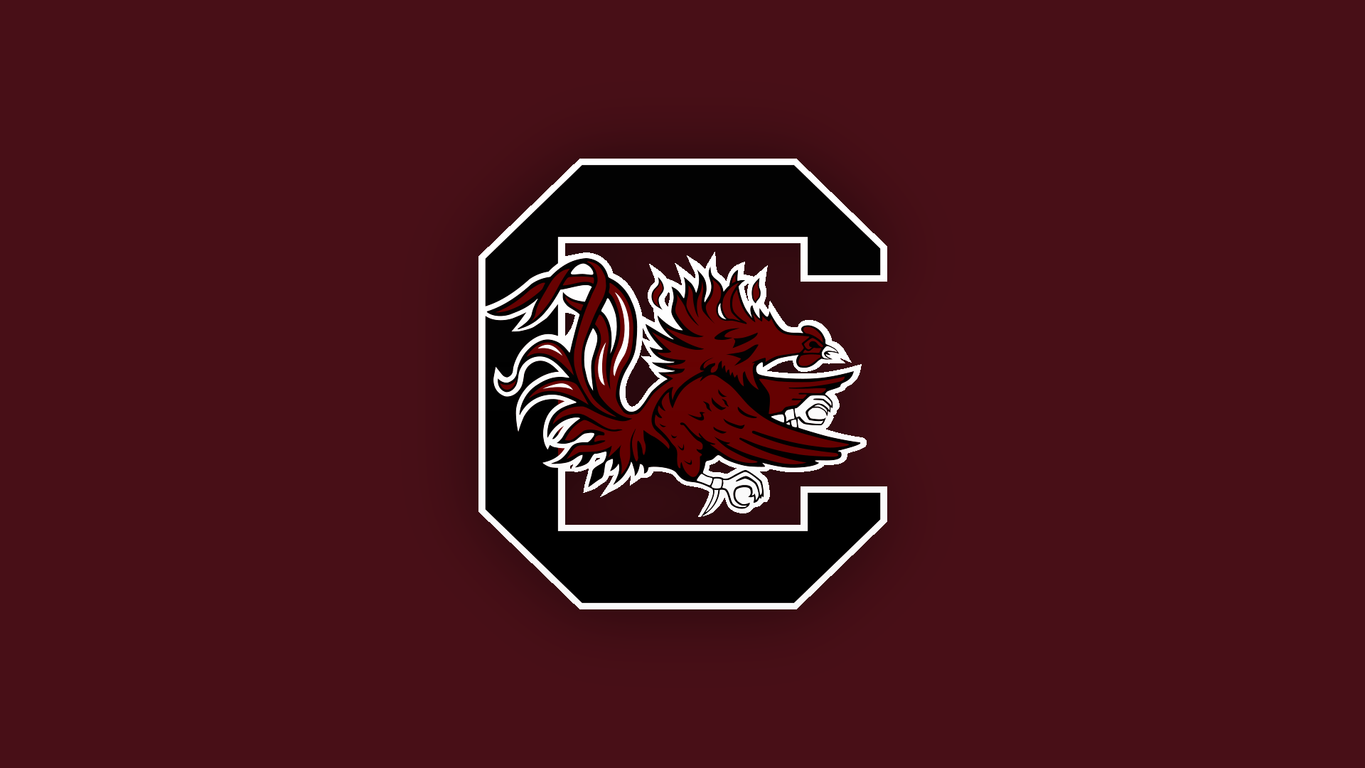 South Carolina Gamecocks Wallpapers