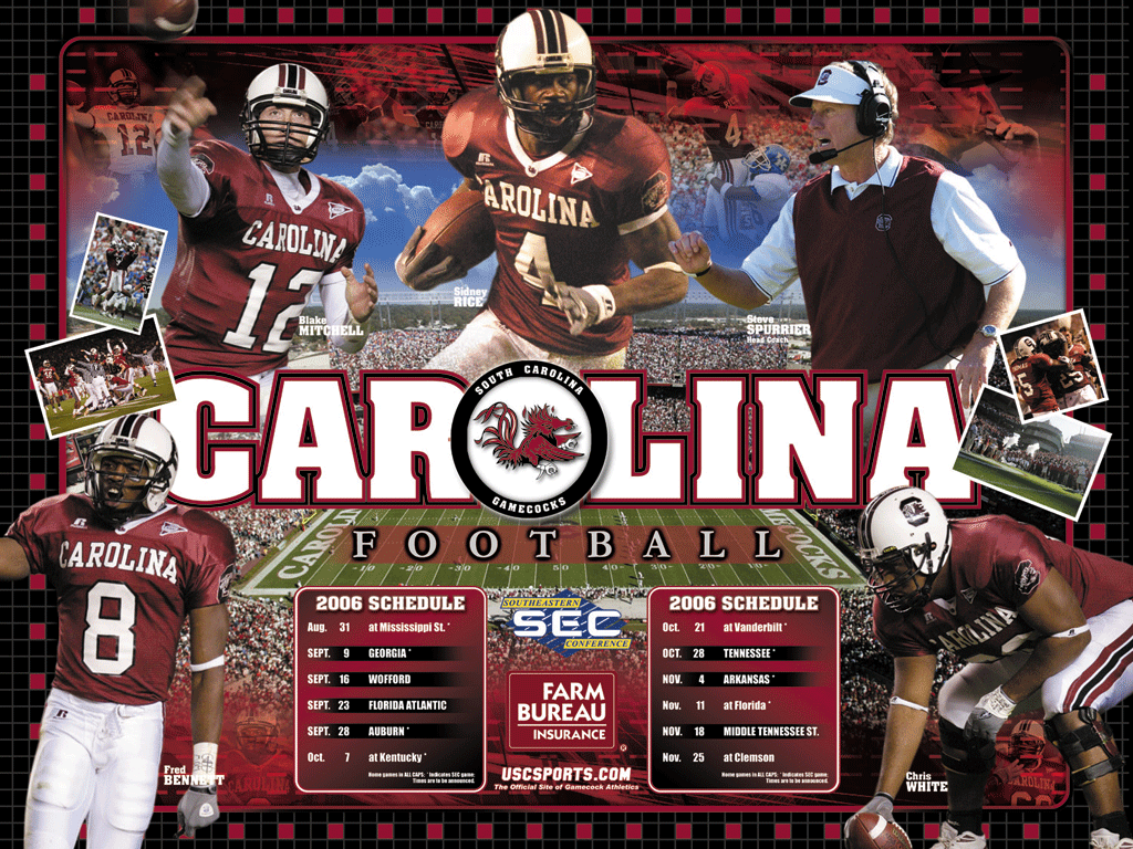 South Carolina Gamecocks Wallpapers