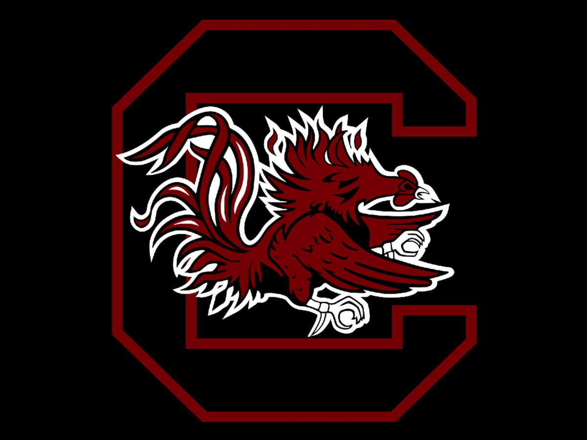 South Carolina Gamecocks Wallpapers