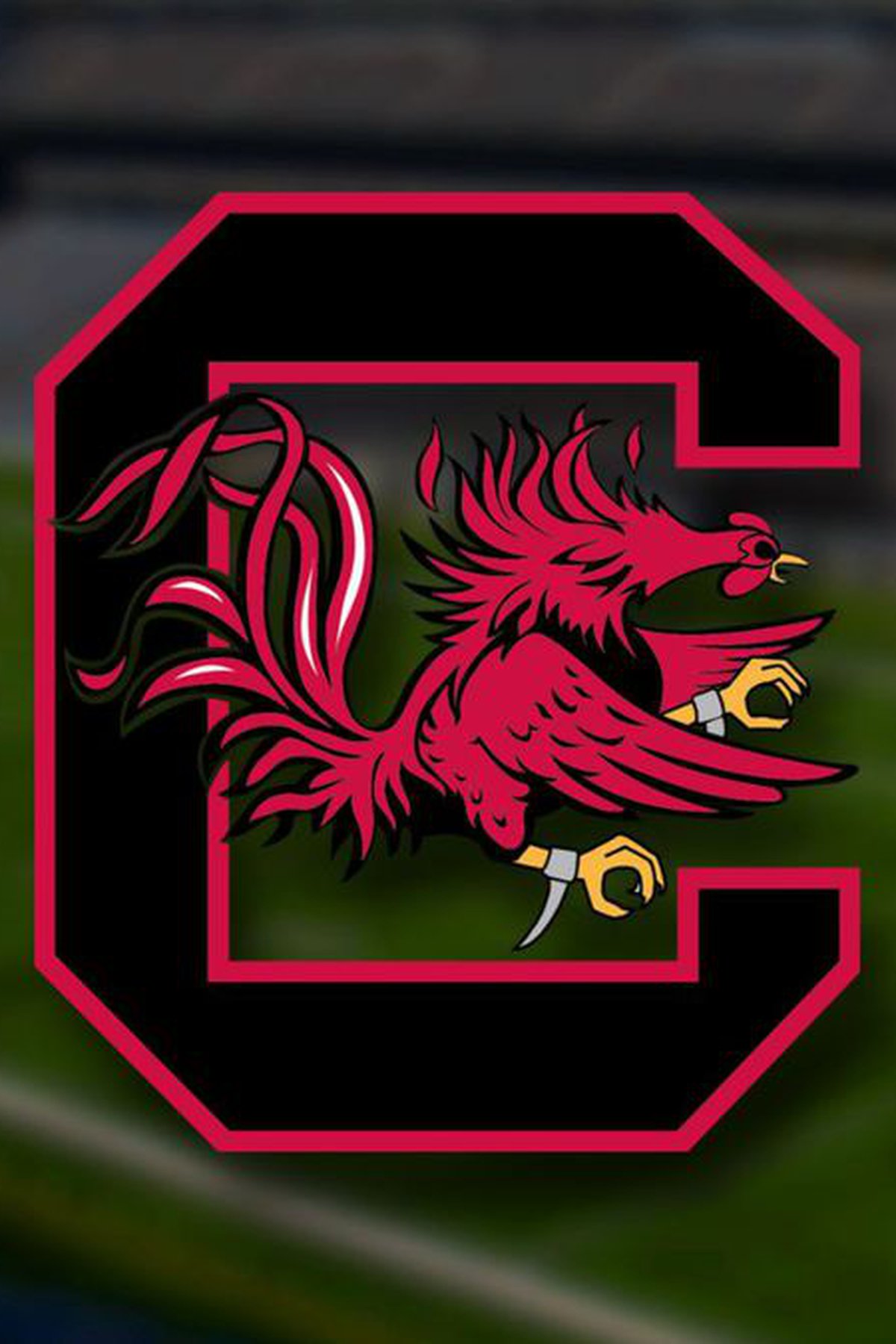 South Carolina Gamecocks Wallpapers