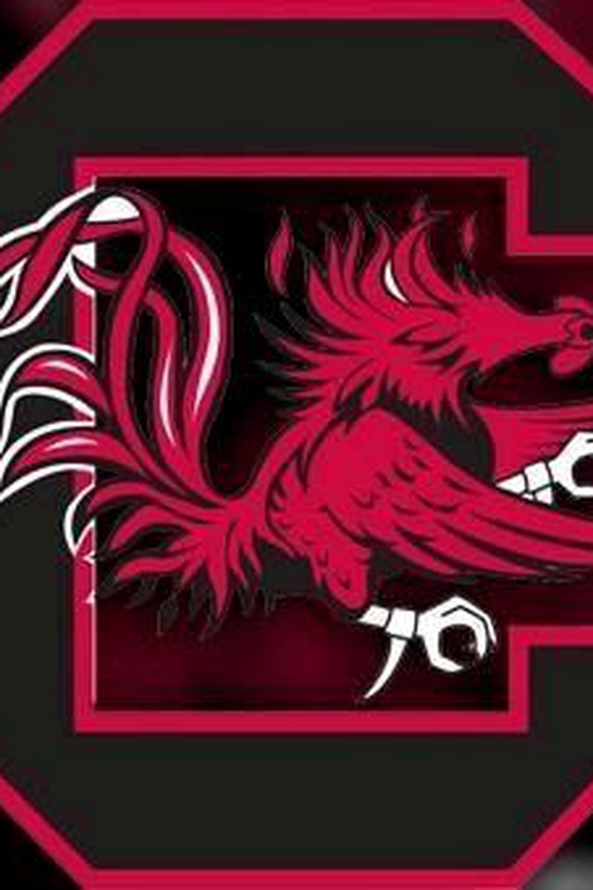 South Carolina Gamecocks Wallpapers