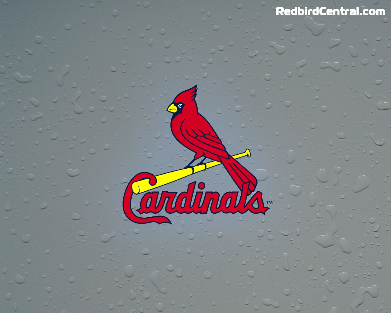 St. Louis Cardinals Wallpapers