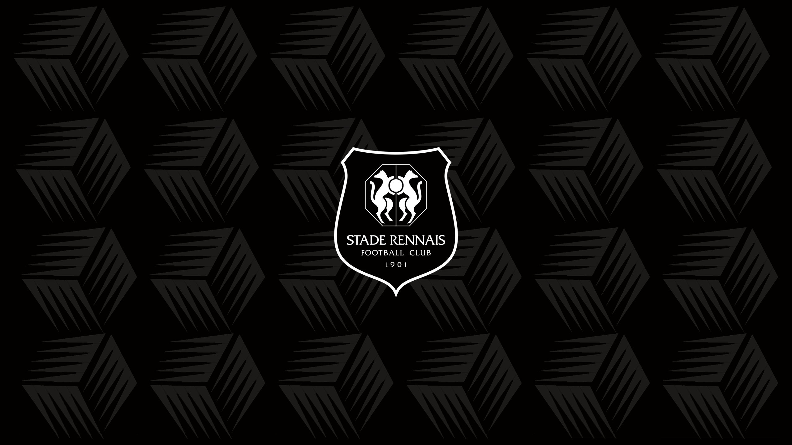 Stade Rennais F.C. Wallpapers