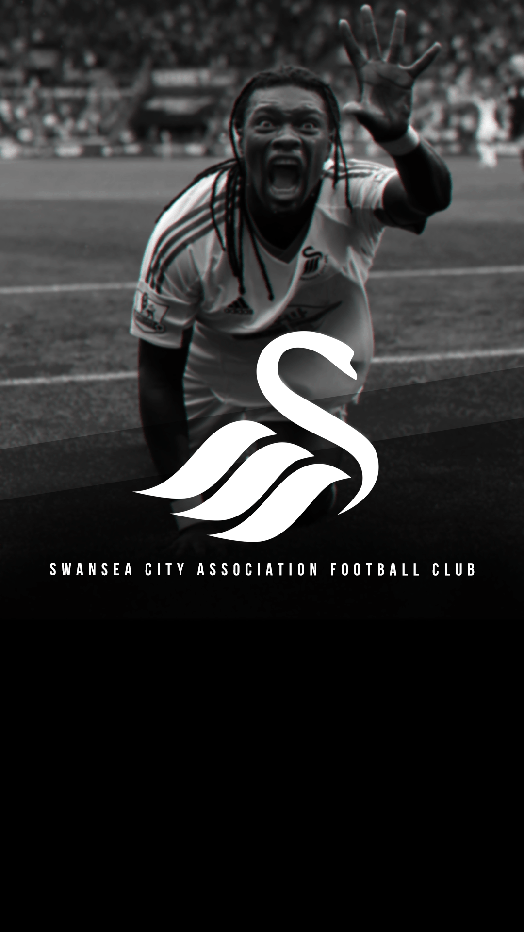 Swansea City A.F.C. Wallpapers