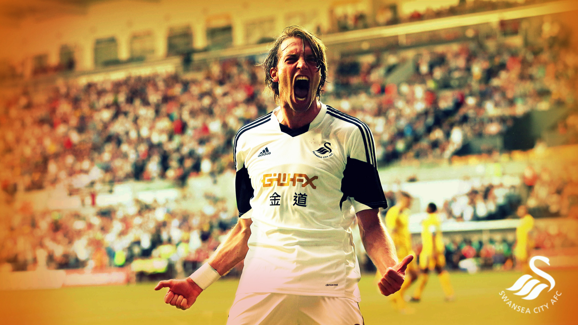 Swansea City A.F.C. Wallpapers