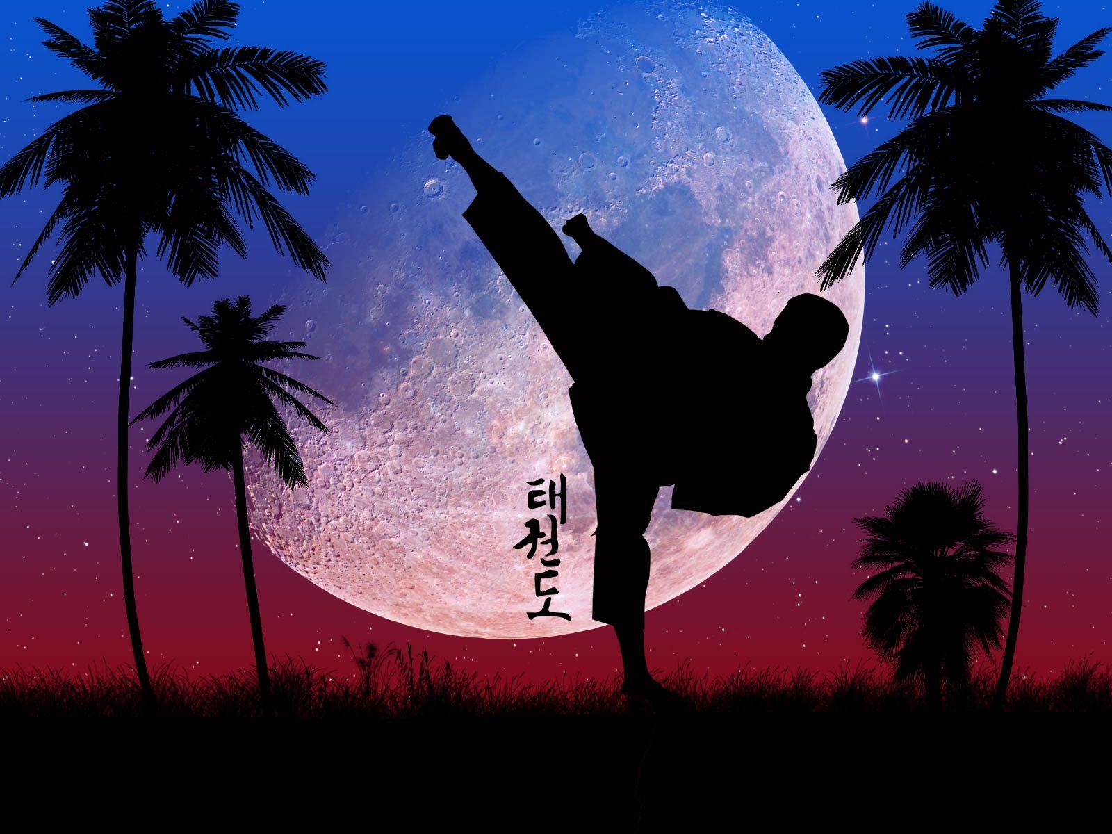 Taekwondo Wallpapers