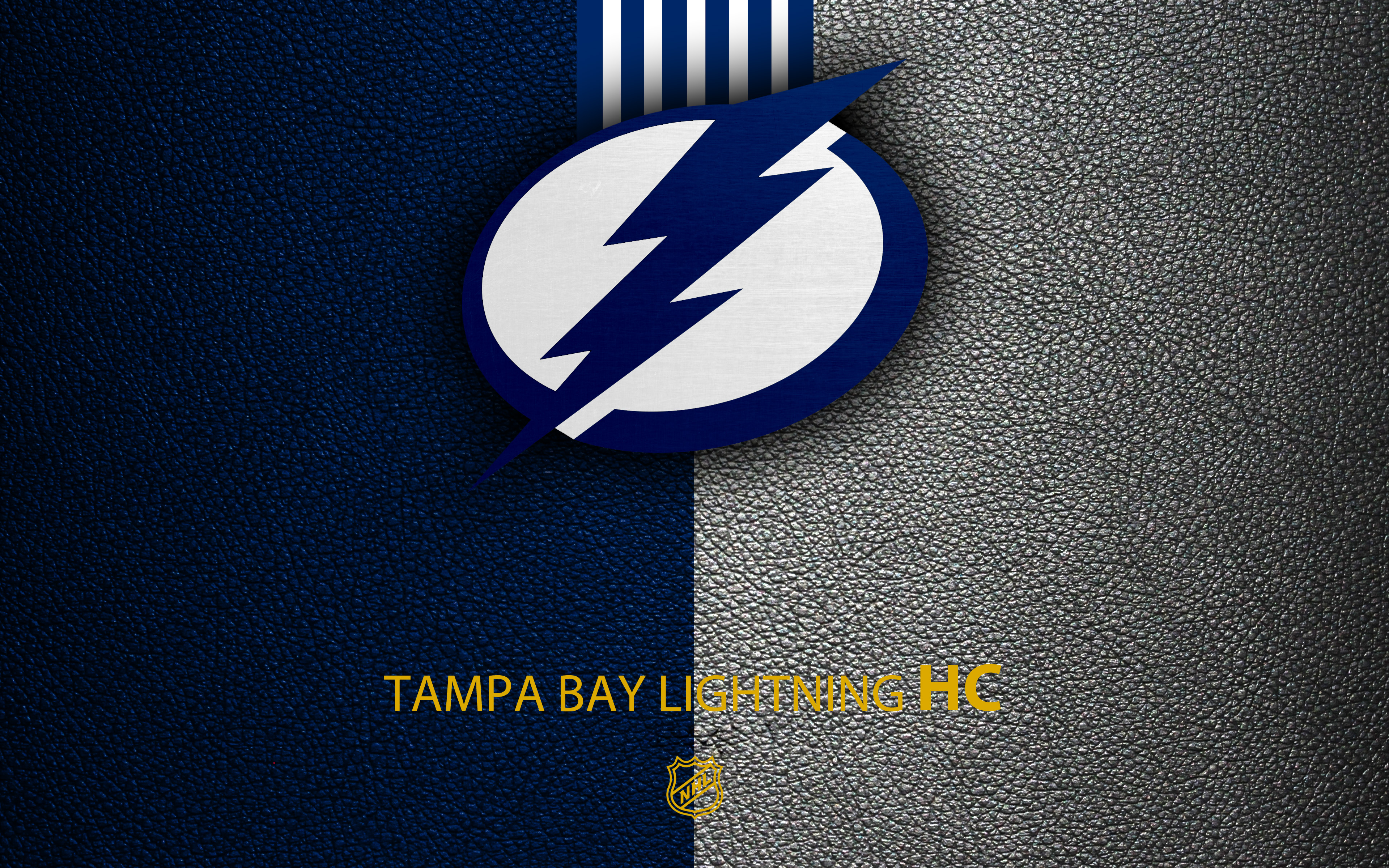 Tampa Bay Lightning Wallpapers