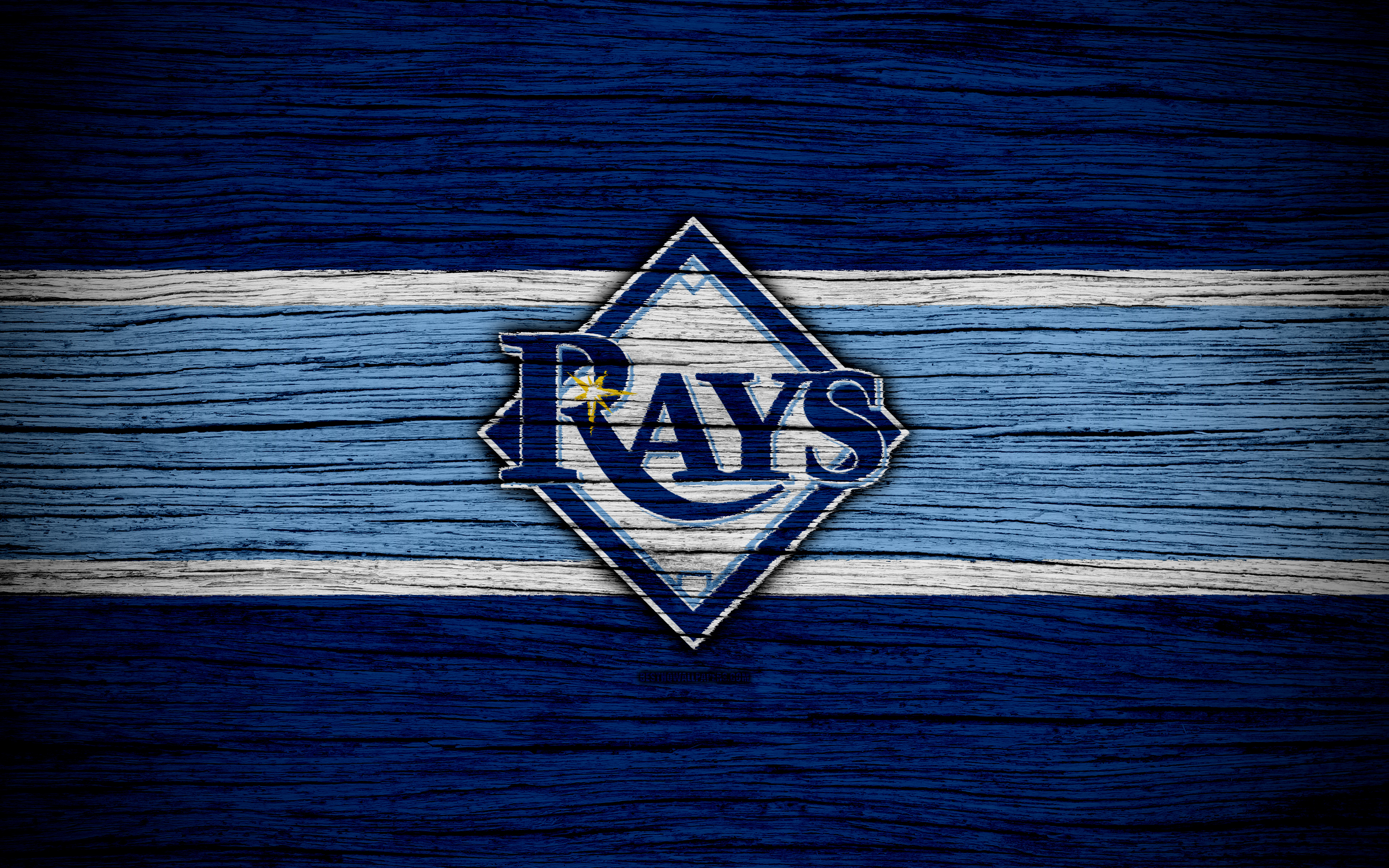 Tampa Bay Rays Wallpapers