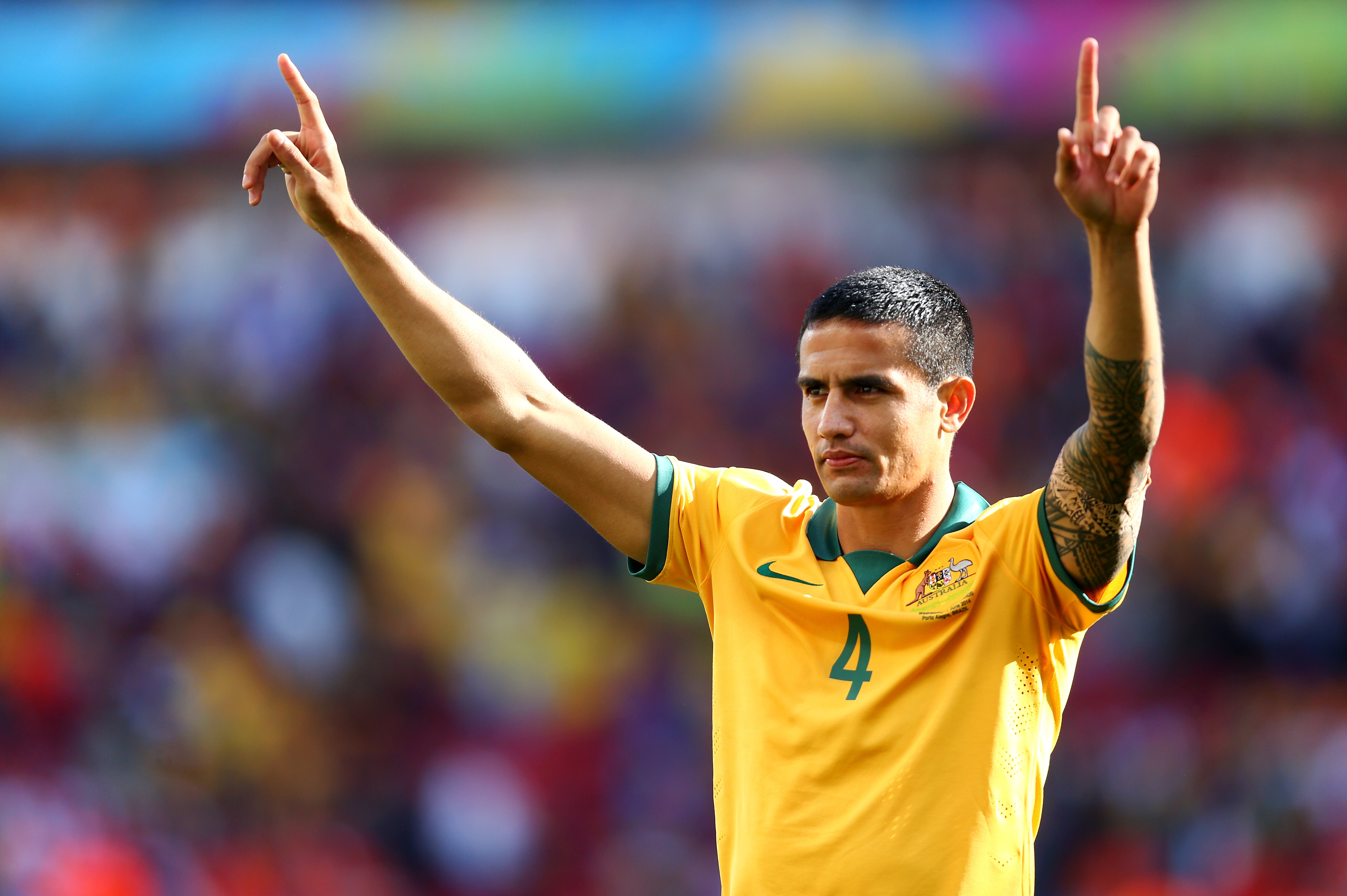 Tim Cahill Wallpapers