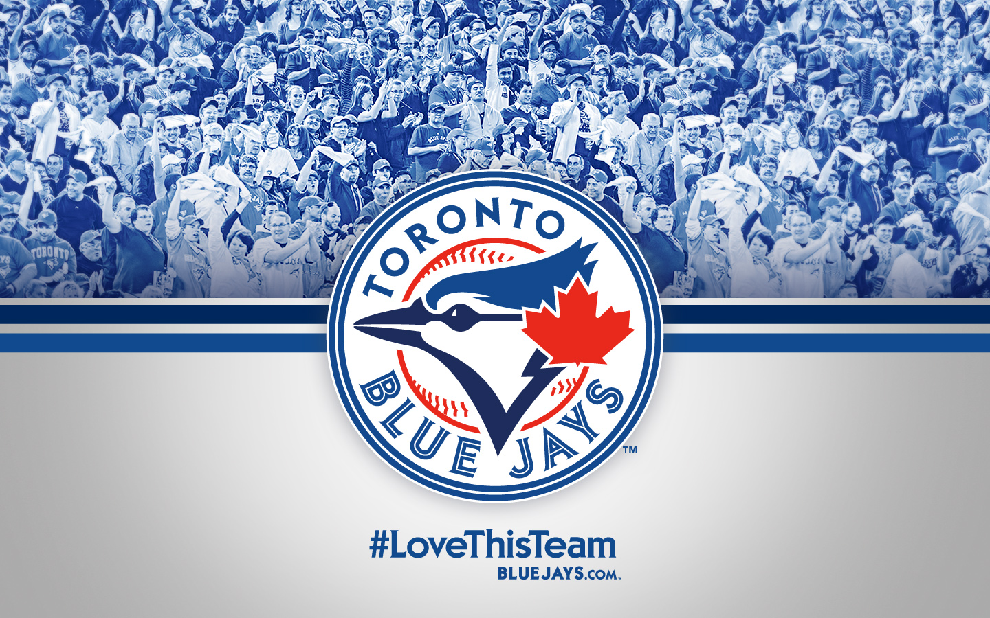 Toronto Blue Jays Wallpapers