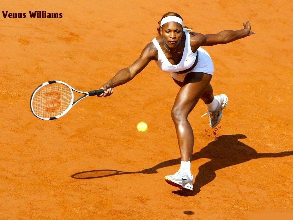 Venus Williams Wallpapers