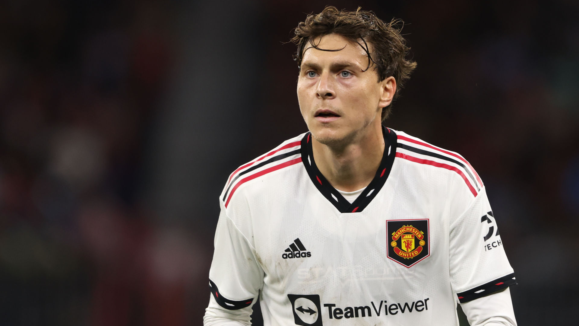 Victor LindeloF Wallpapers