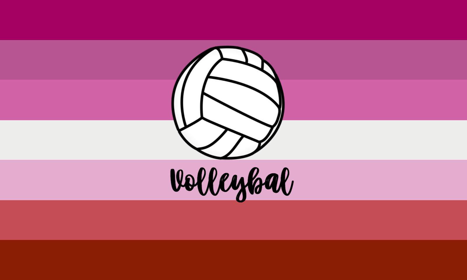 Volleyball Wallpapers