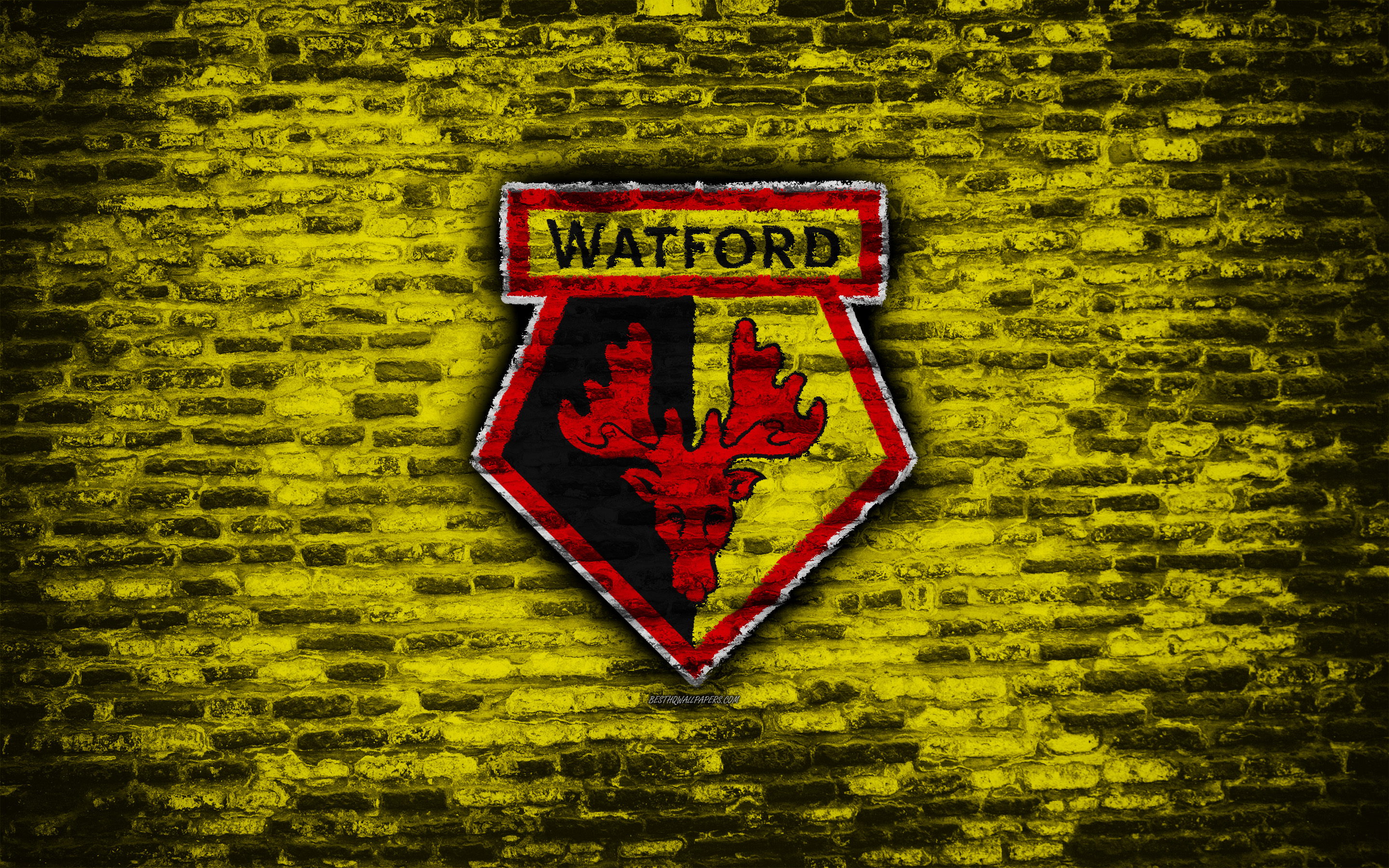 Watford F.C. Wallpapers