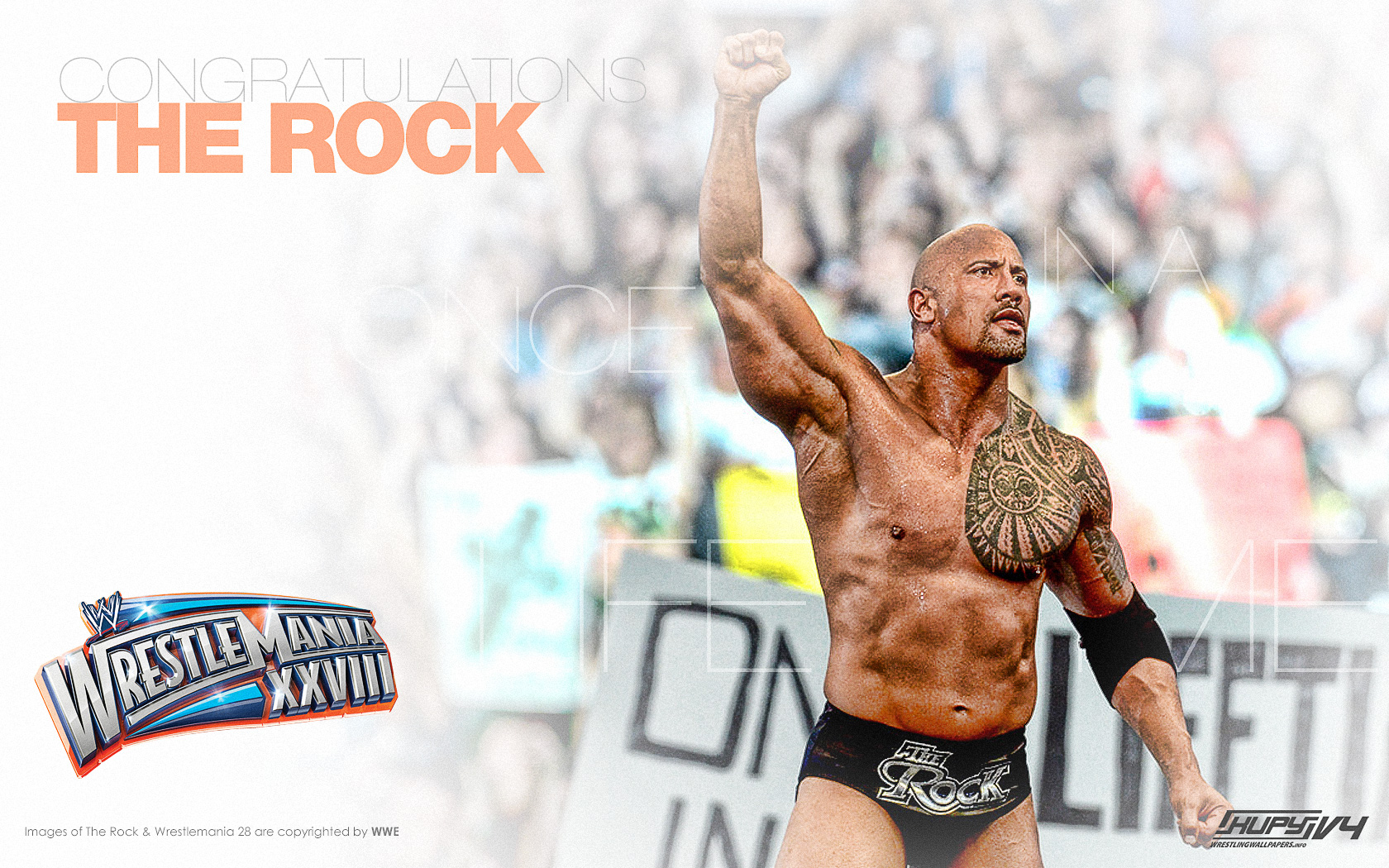 Wwe The Rock Wallpapers