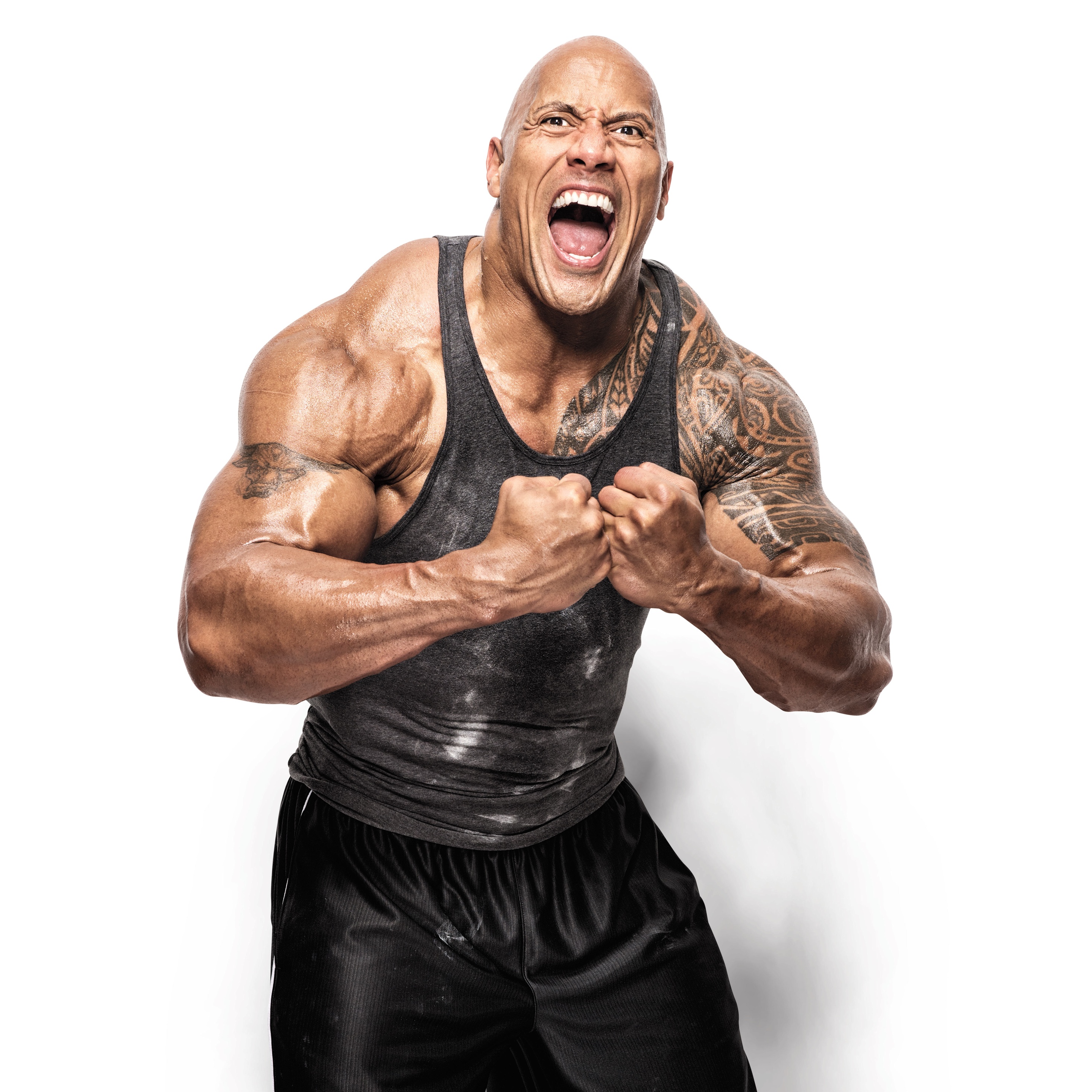 Wwe The Rock Wallpapers