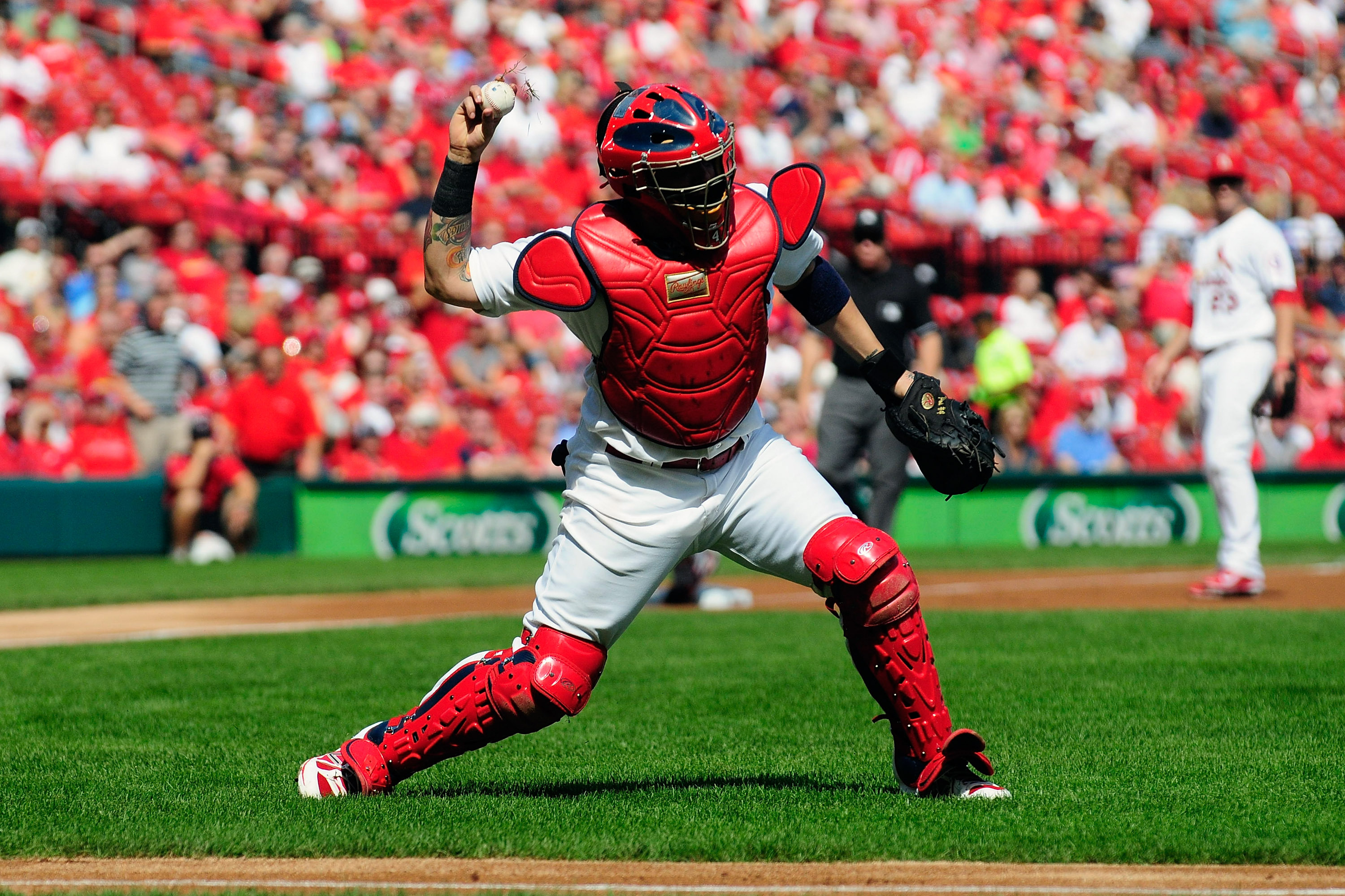 Yadier Molina Wallpapers