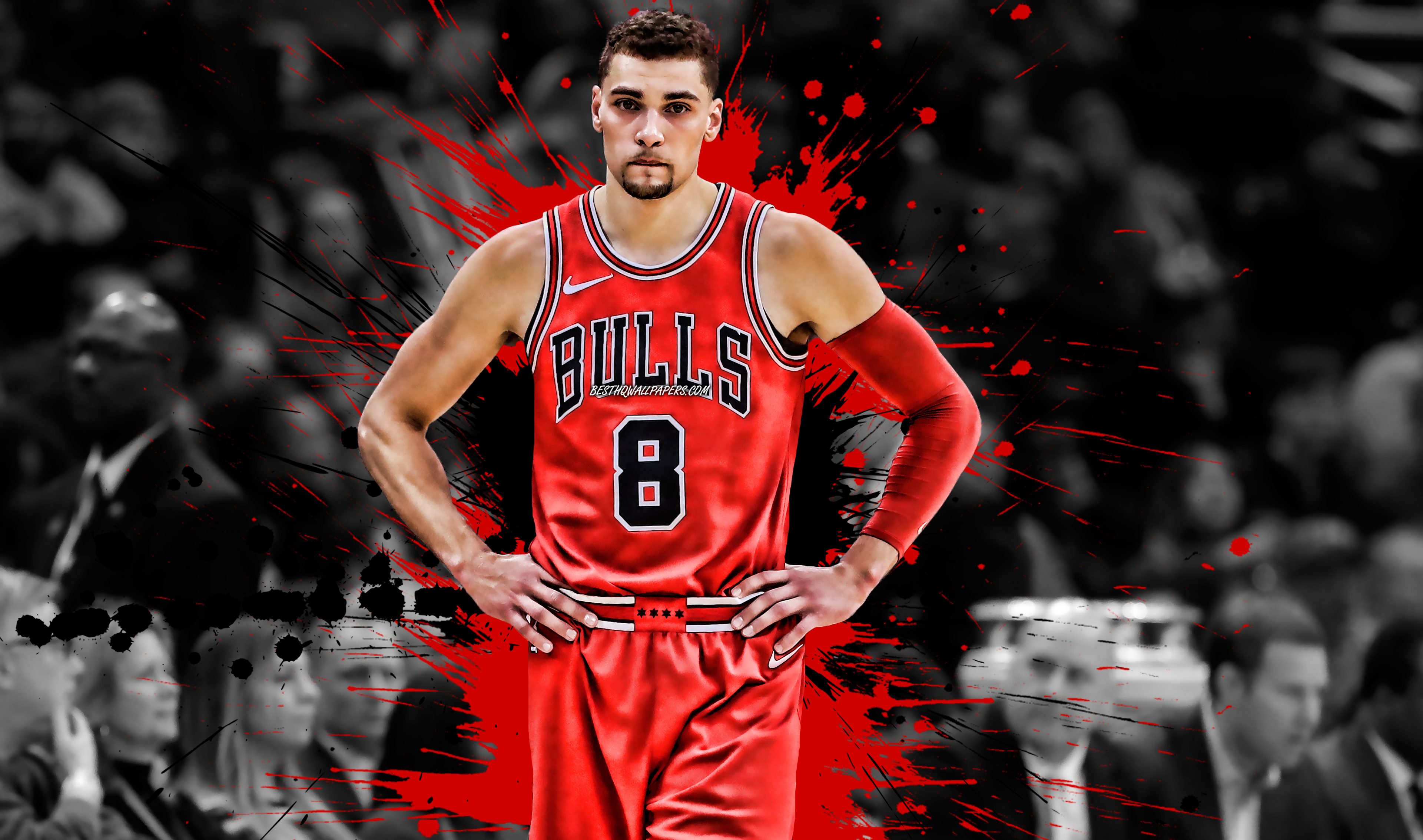 Zach Lavine Wallpapers