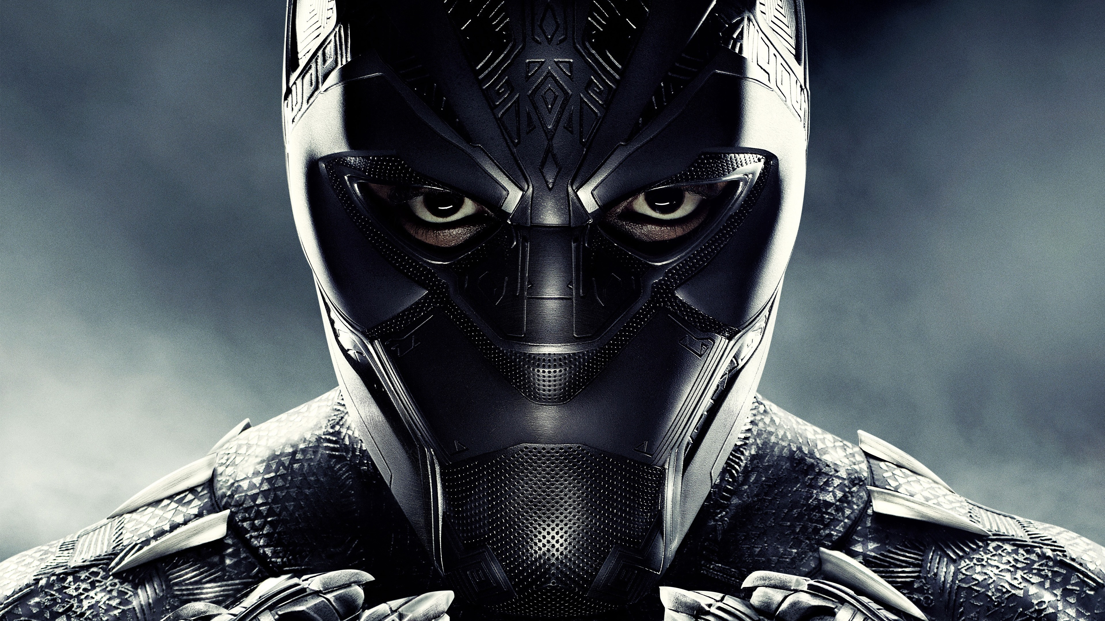 Black Panther Helmet Illustration 5K Wallpapers