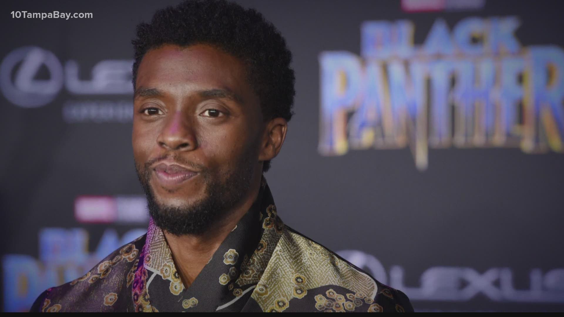 Chadwick Boseman Black Panther Tribute Wallpapers