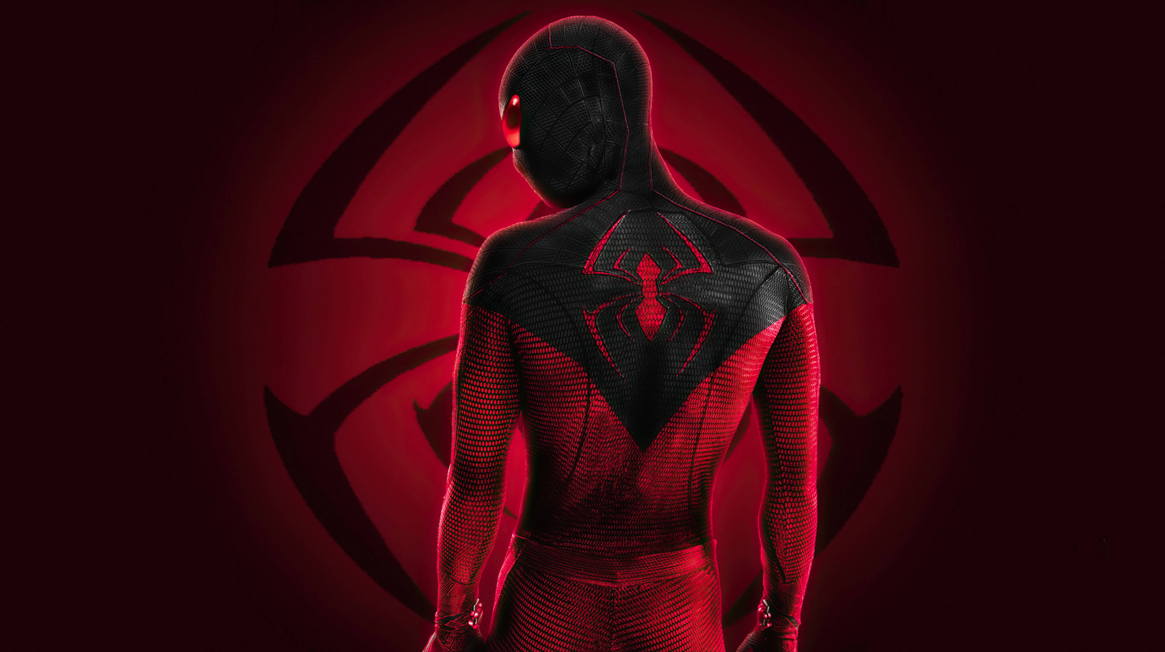 The Spider Dude 4K Wallpapers