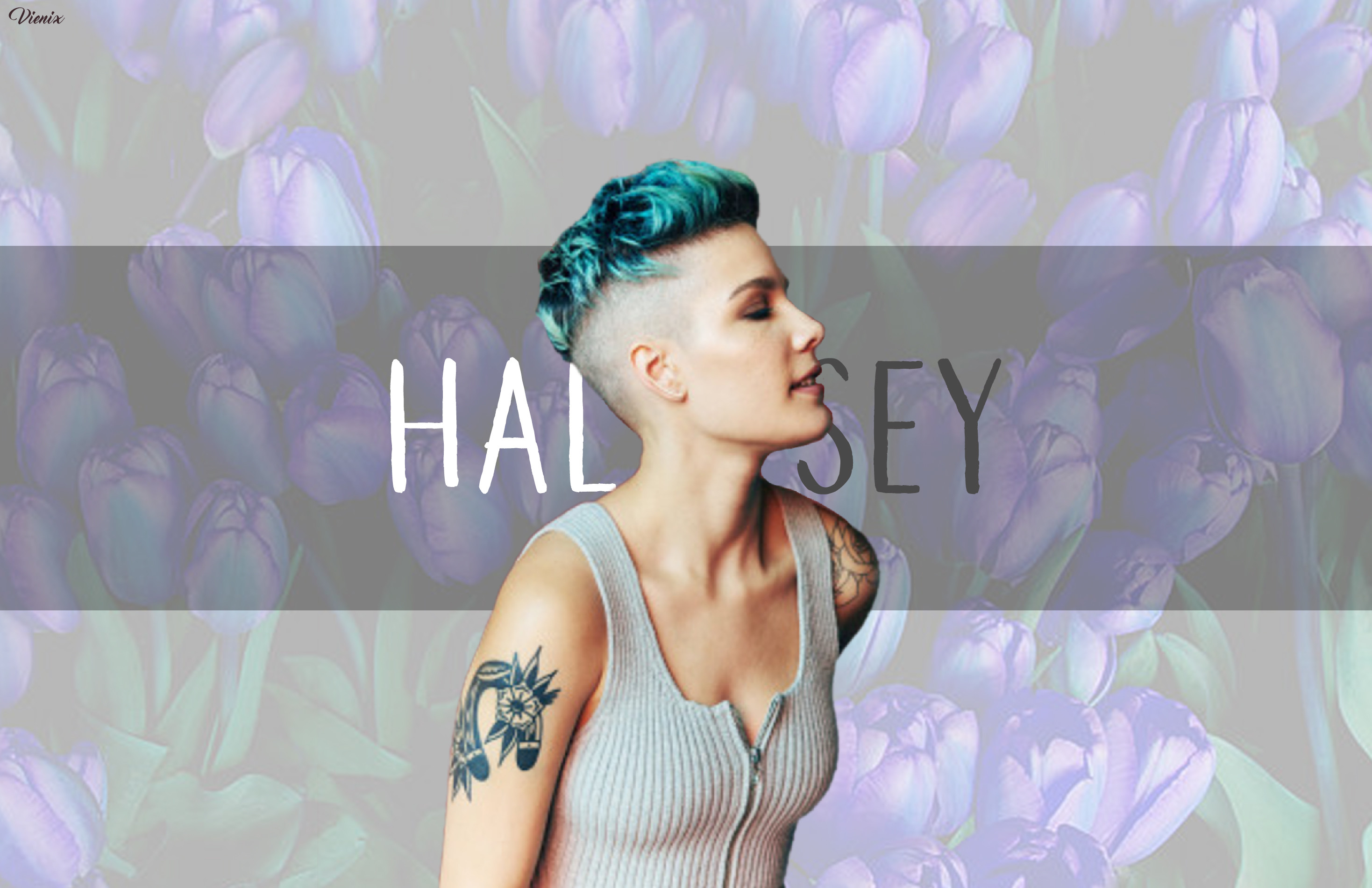 Halsey Wallpapers