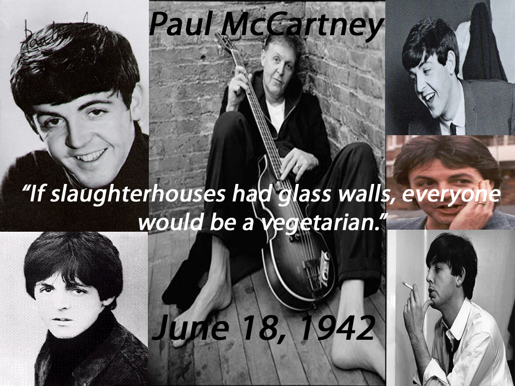 Paul Mccartney Wallpapers