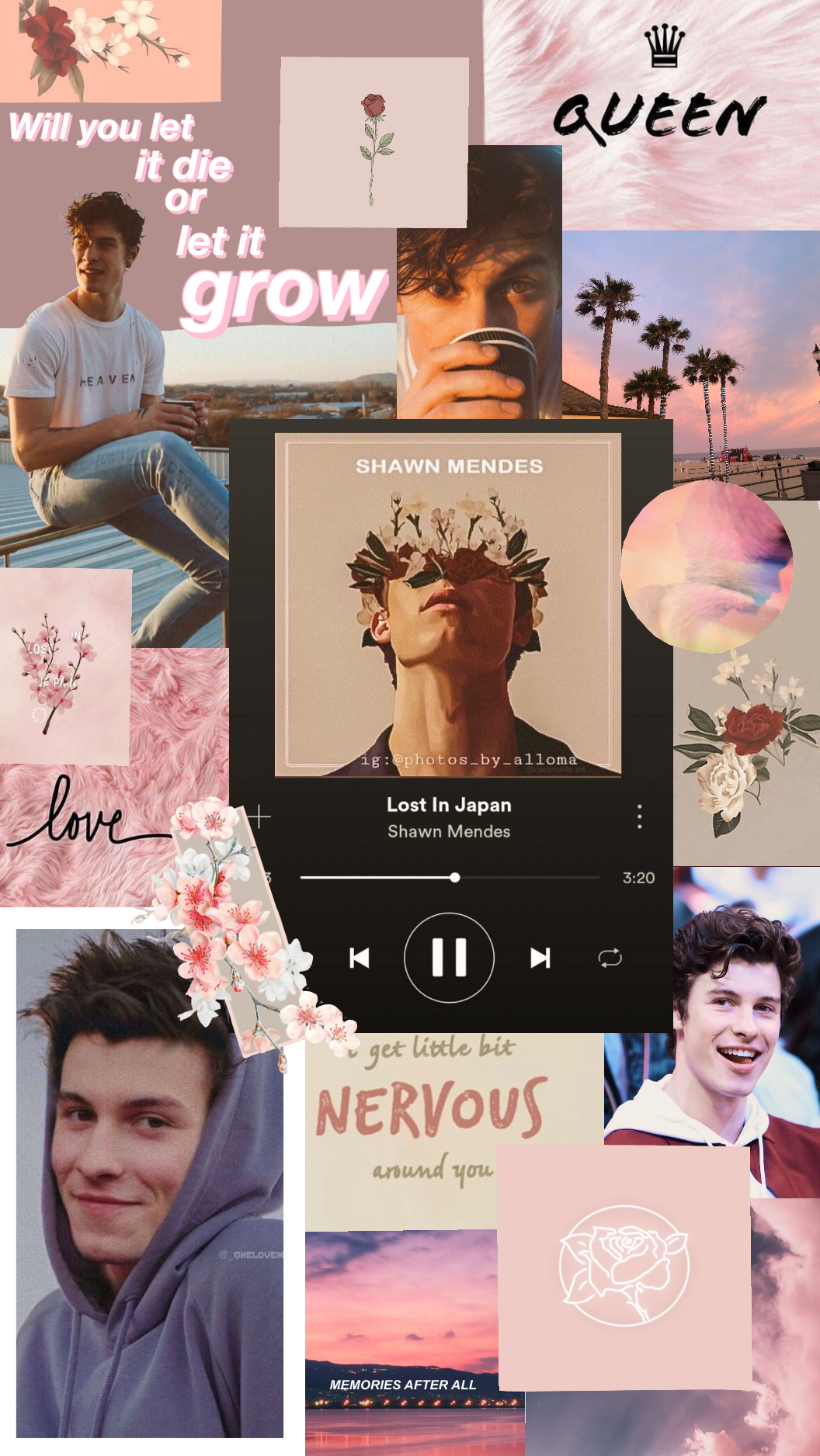 Shawn Mendes Wallpapers