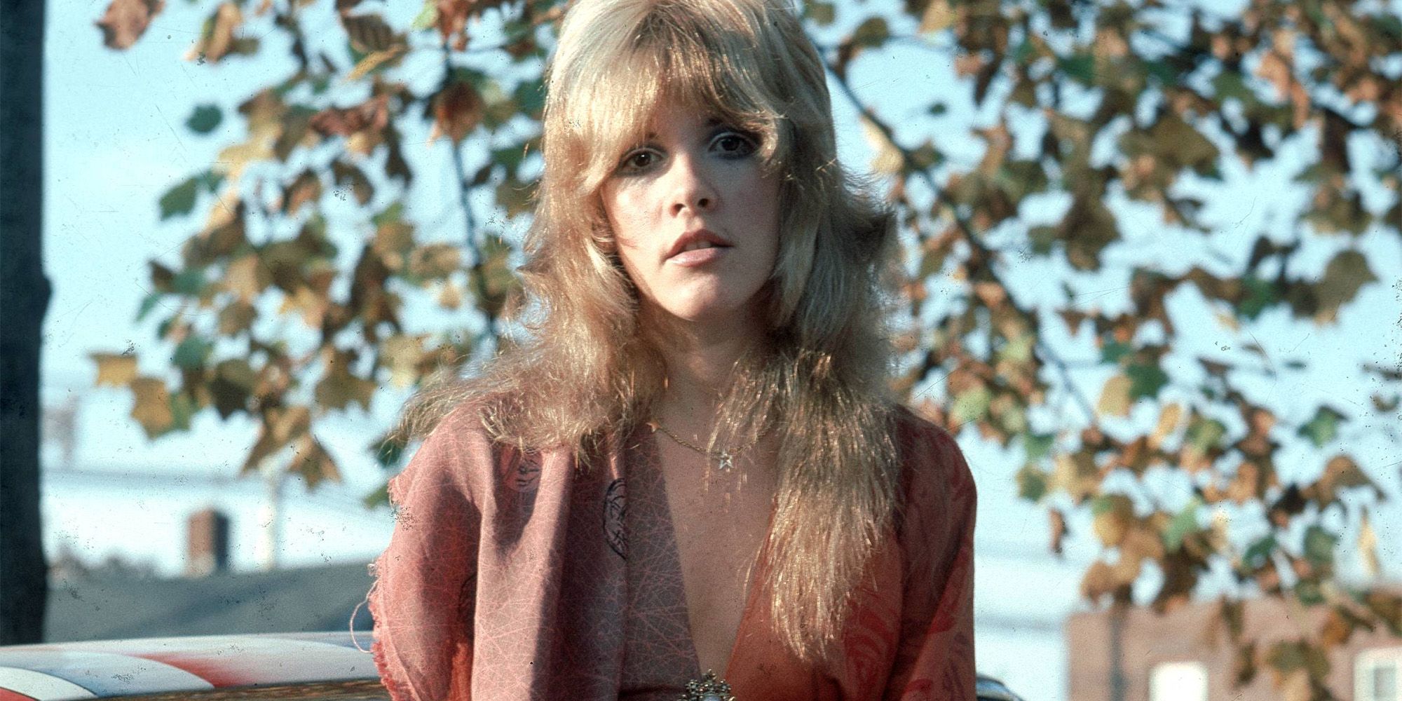 Stevie Nicks Wallpapers