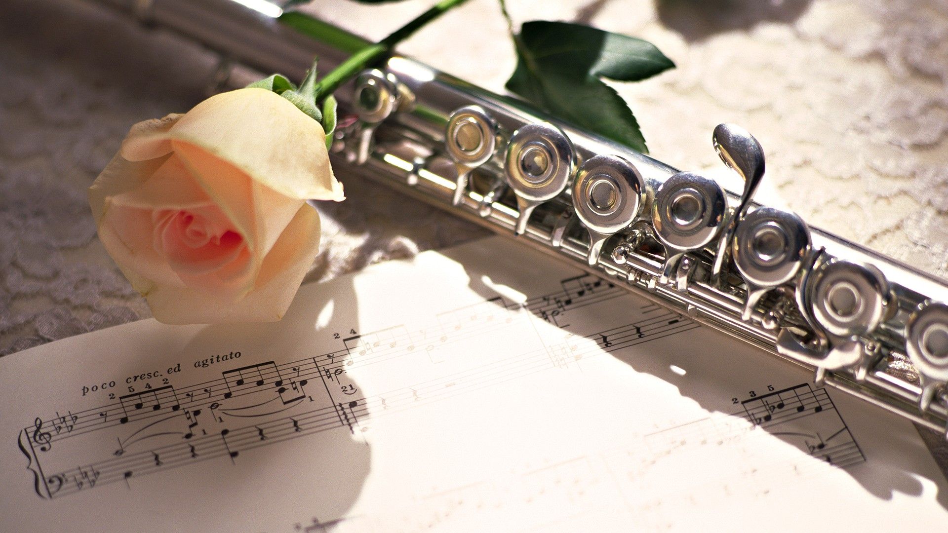 Flute Wallpapers