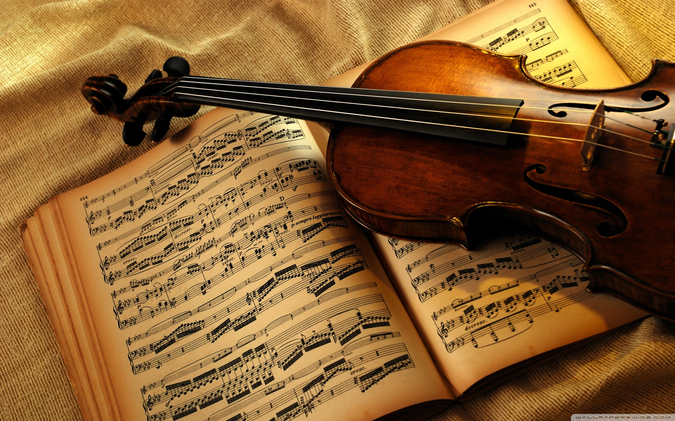 Violin Wallpapers