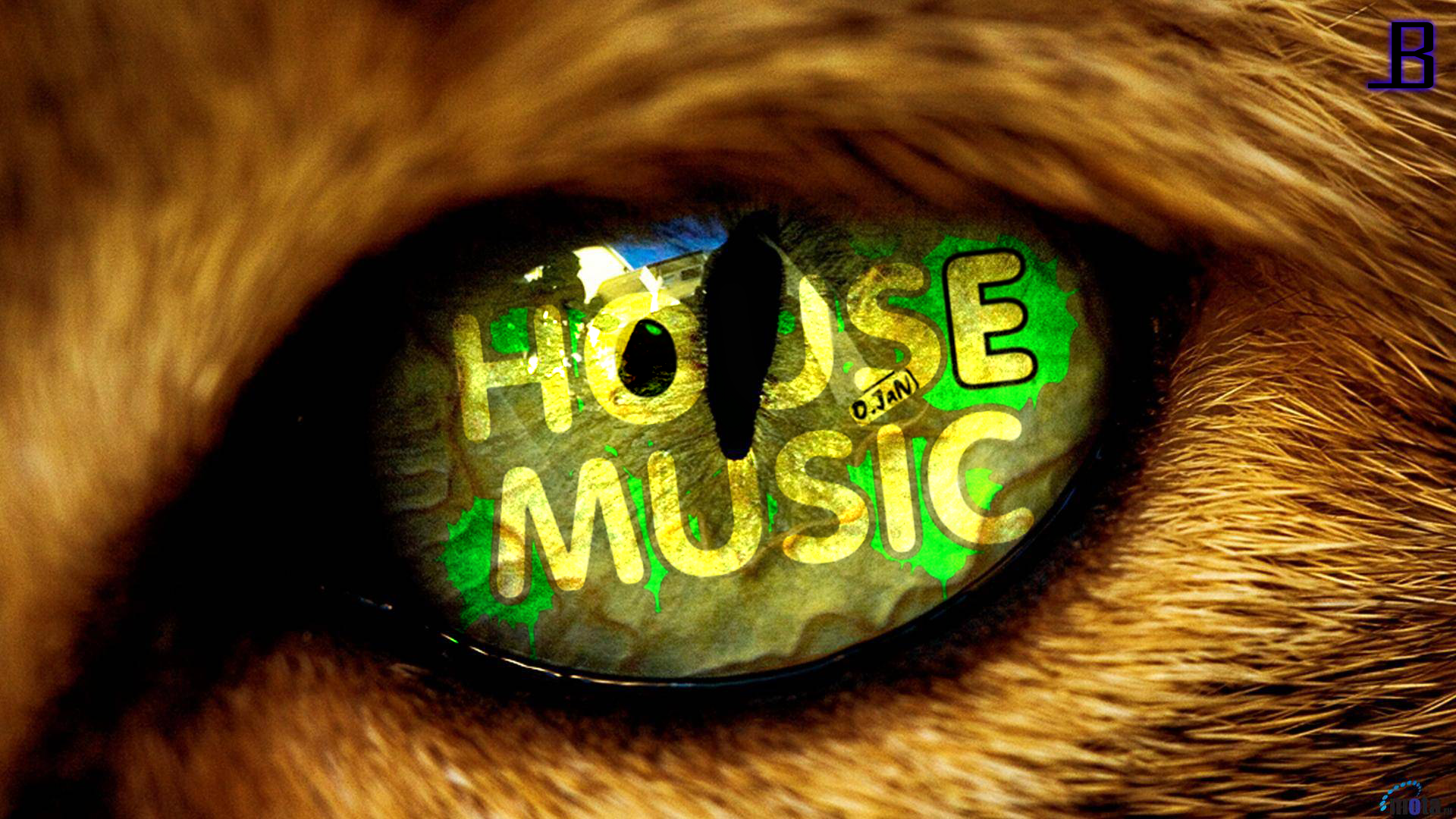 House Music Wallpapers