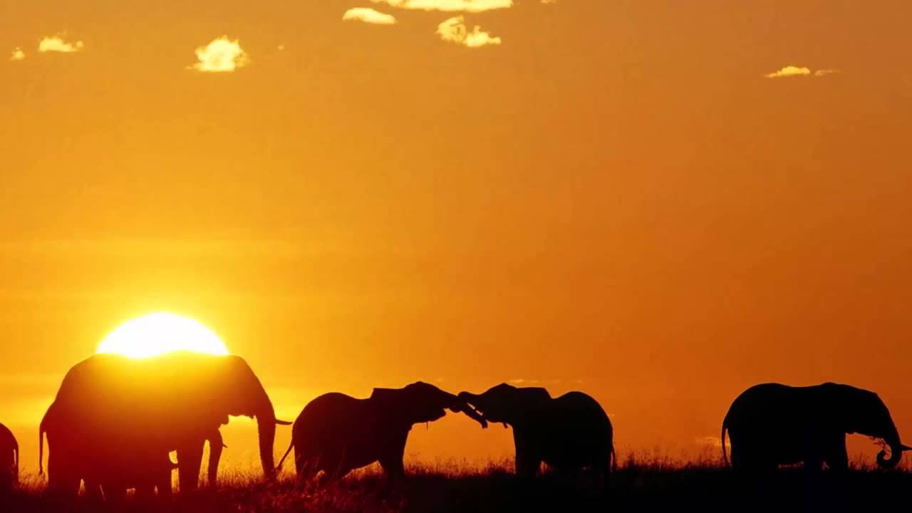 Music Of Africa Wallpapers