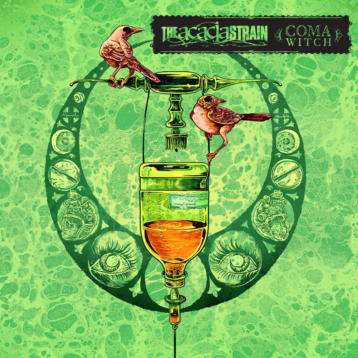 Acacia Strain Wallpapers