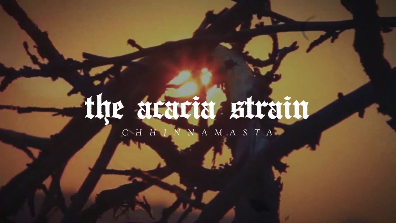 Acacia Strain Wallpapers