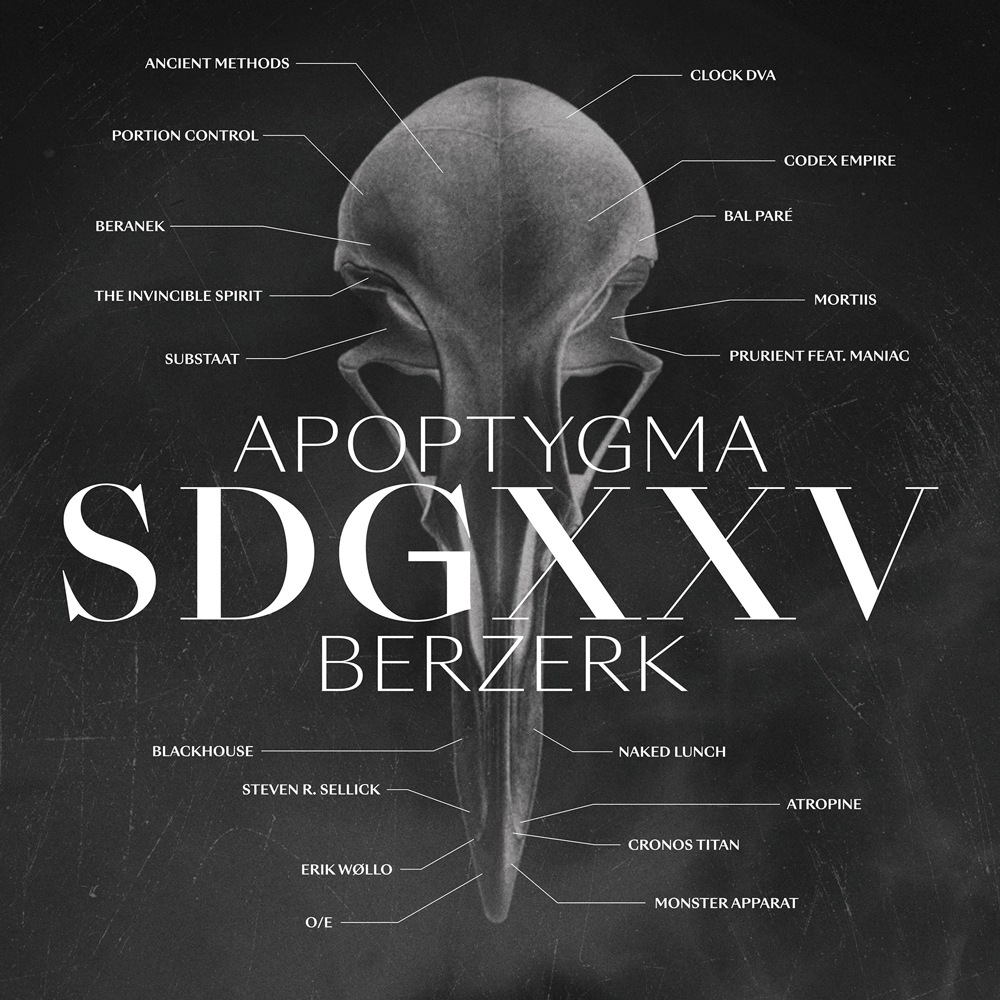 Apoptygma Berzerk Wallpapers