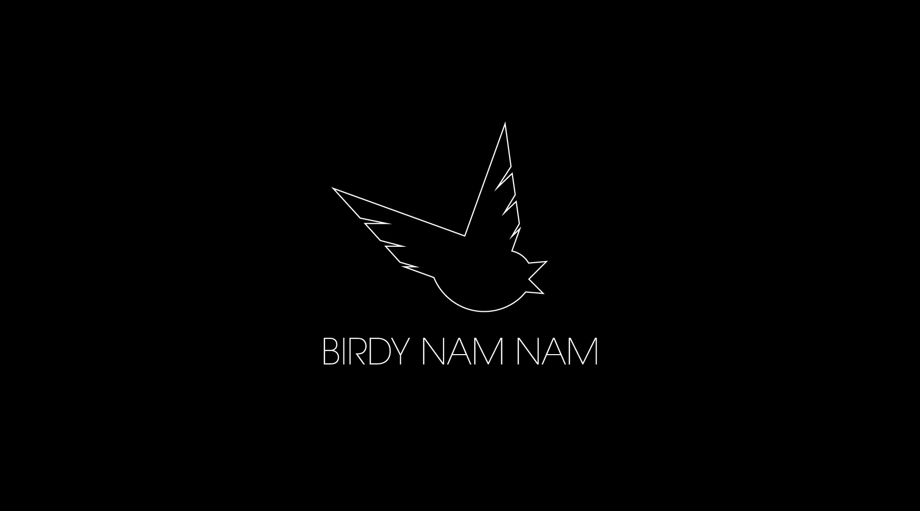 Birdy Nam Nam Wallpapers