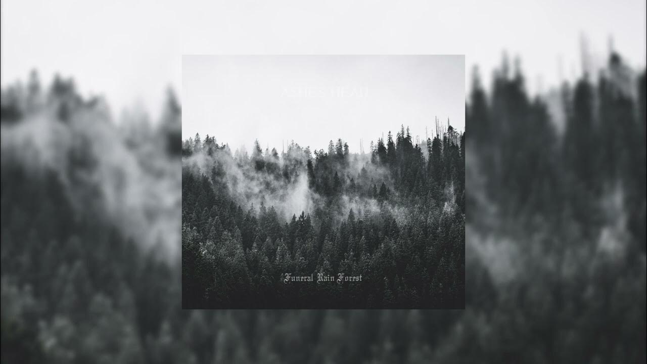 Funeral Forest Wallpapers