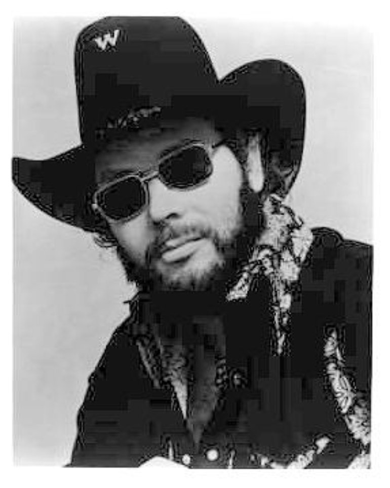 Hank Williams Jr Wallpapers