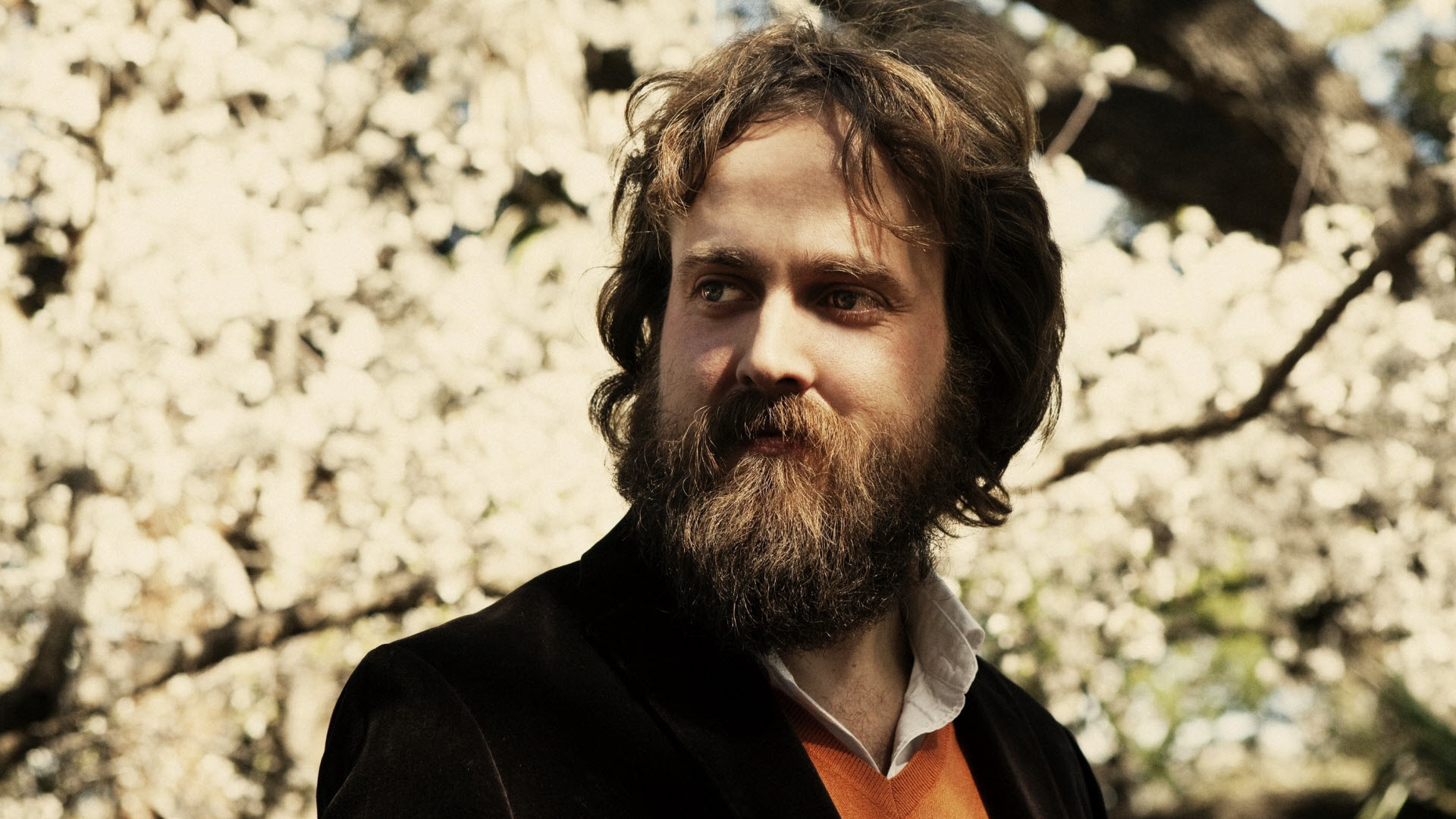 Iron And Wine Wallpapers