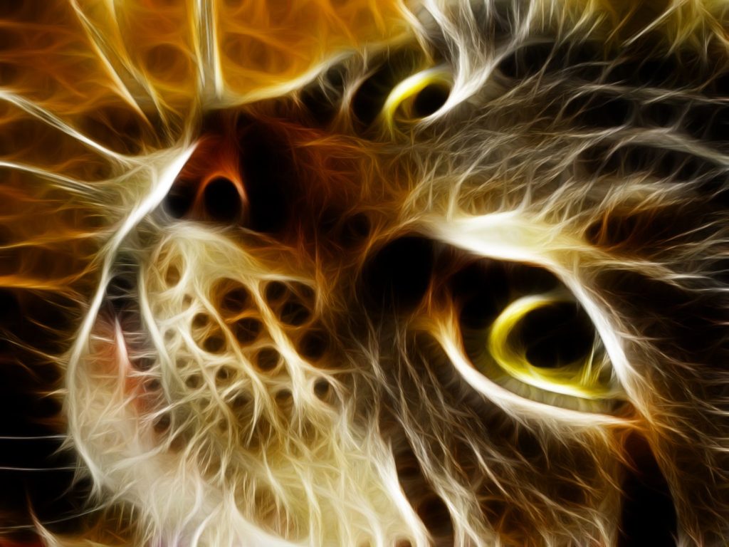 Kittie Wallpapers