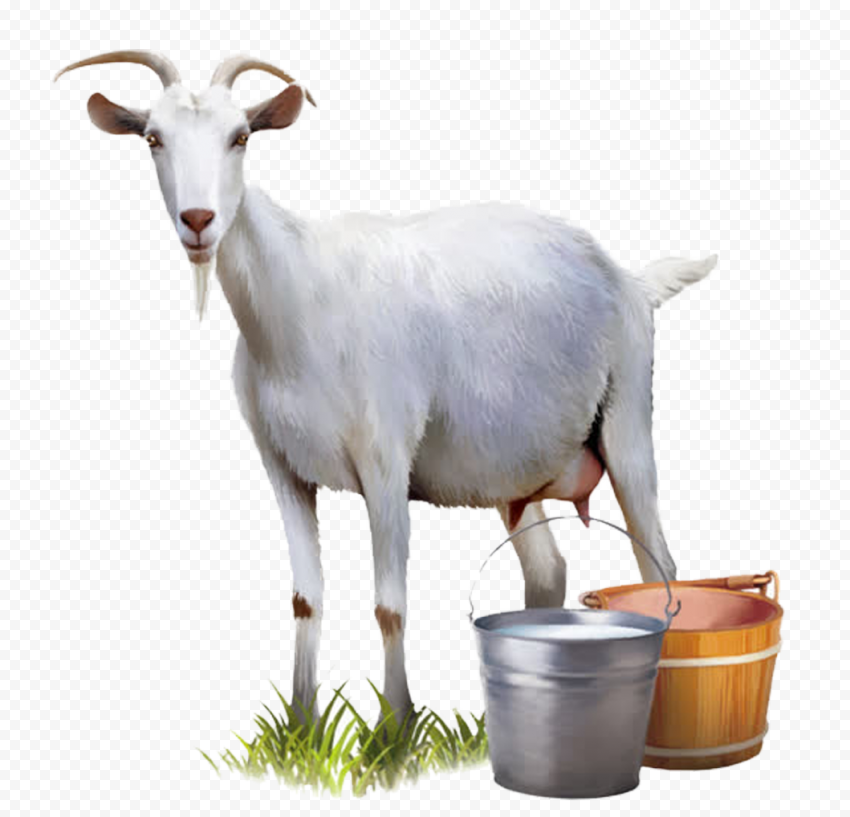 Milking The Goat Wallpapers