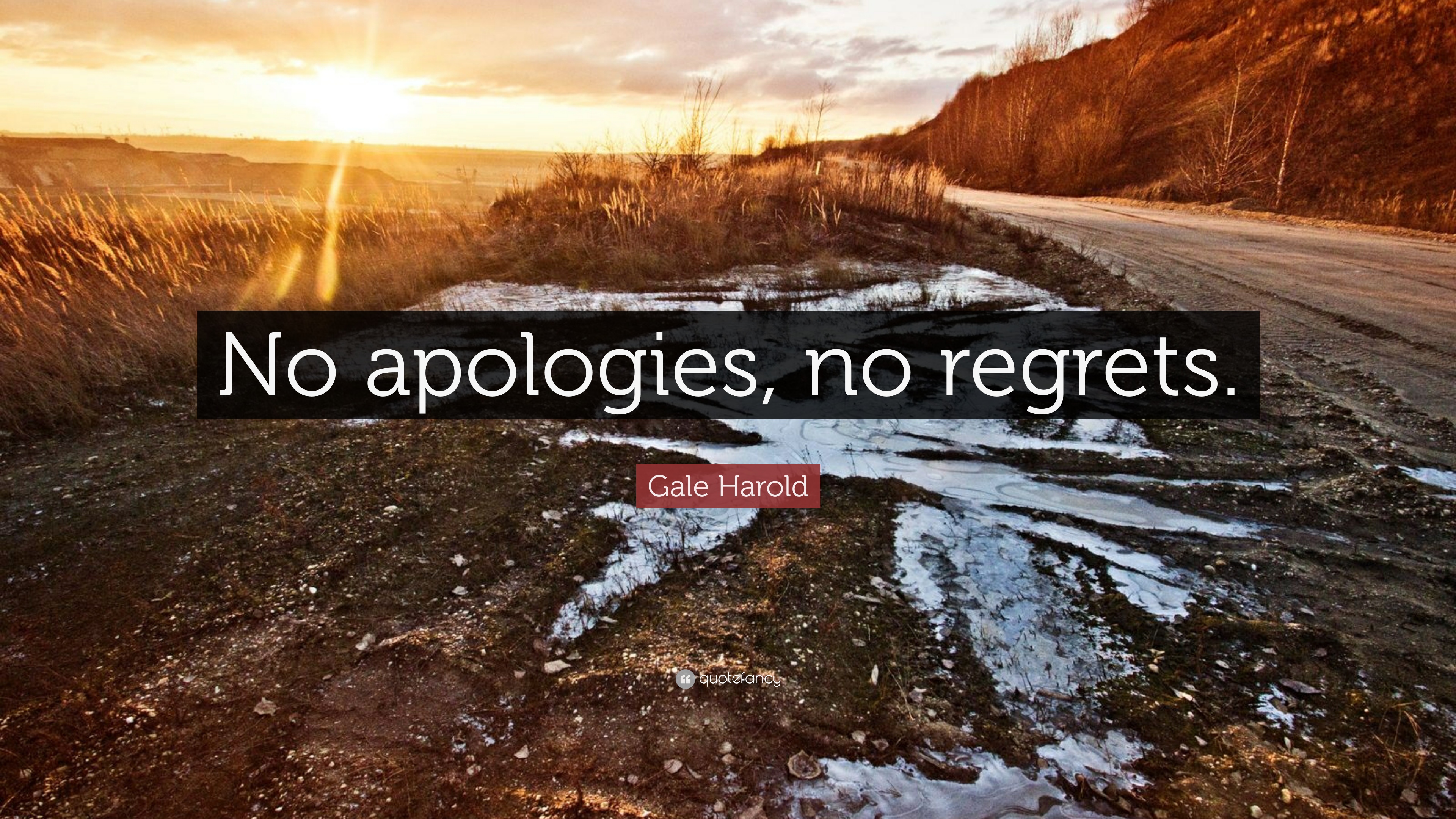 No Apologies Wallpapers