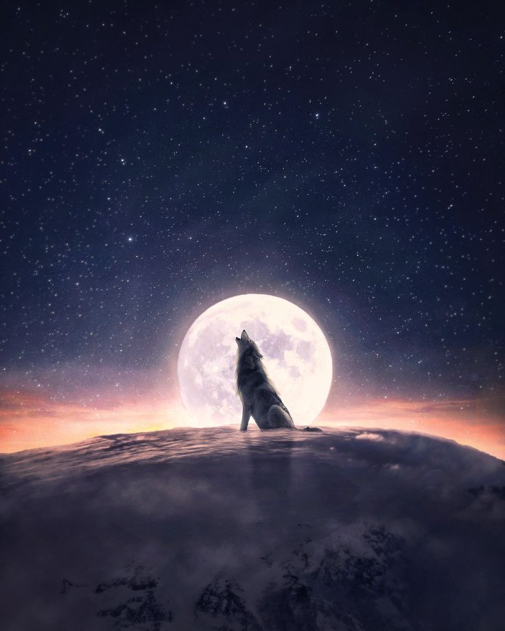 Wolfheart Wallpapers