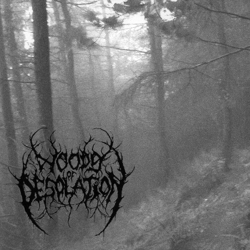 Woods Of Desolation Wallpapers