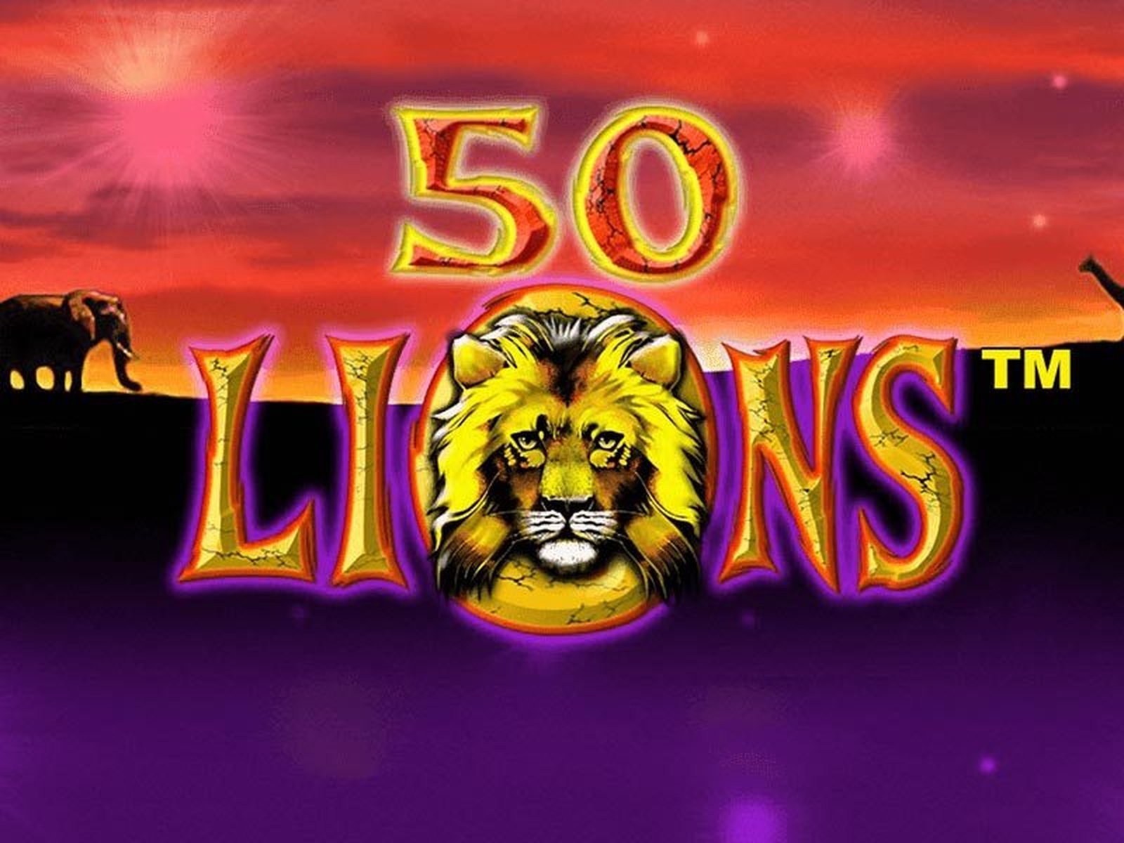 50 Lions Wallpapers