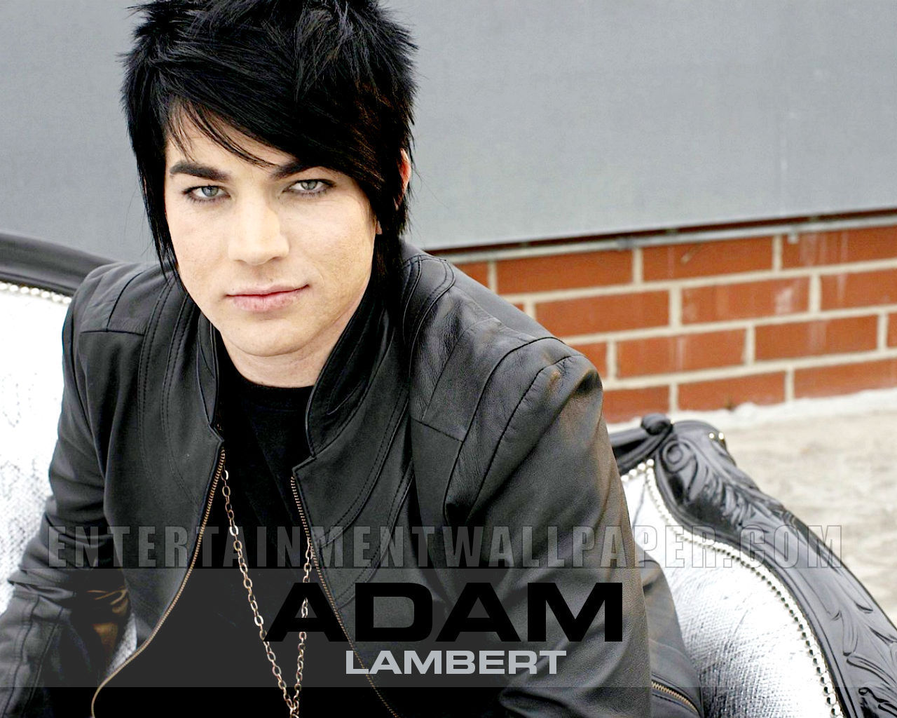 Adam Lambert Wallpapers