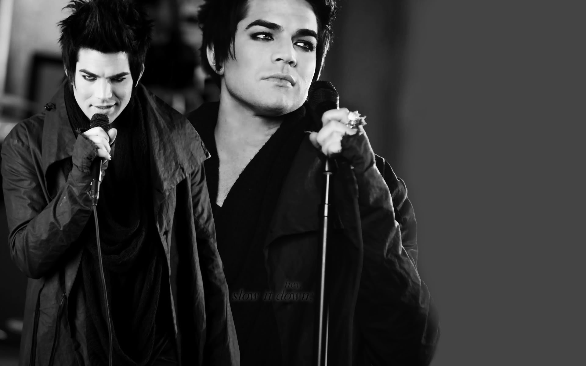 Adam Lambert Wallpapers