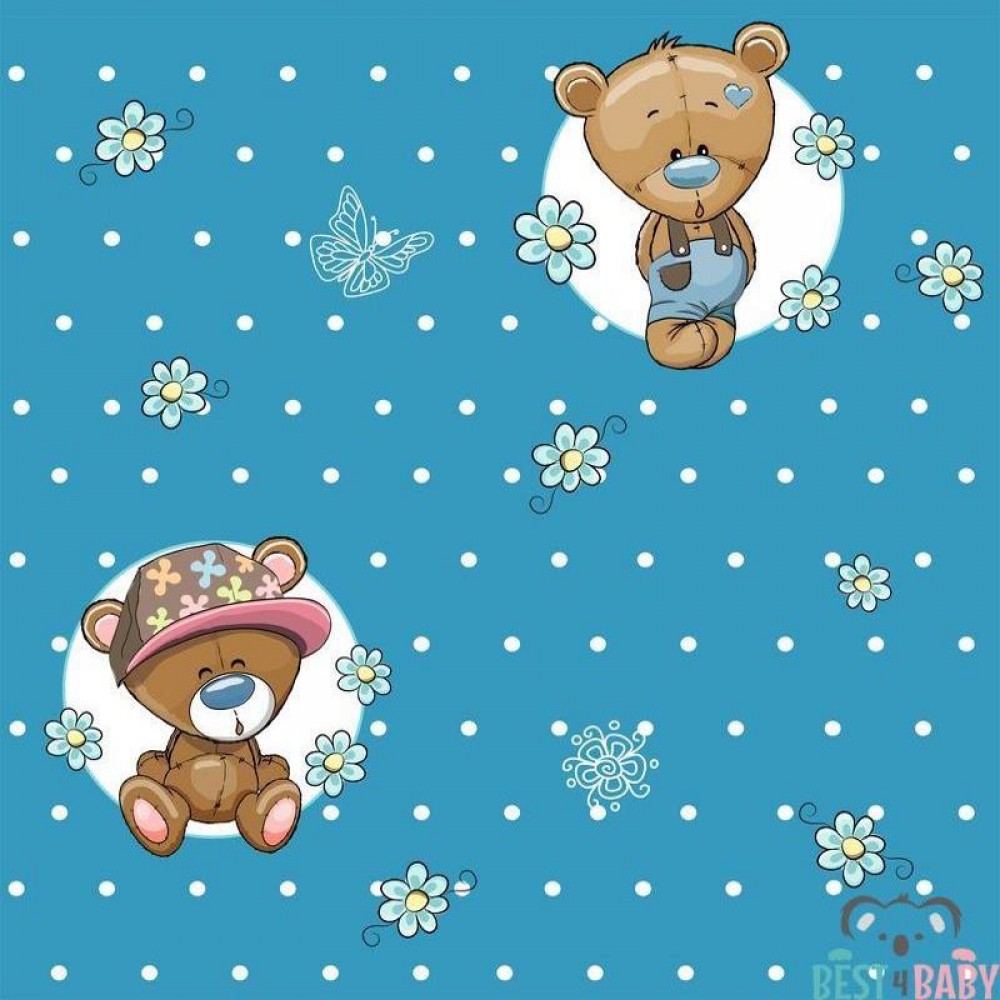 Boy & Bear Wallpapers